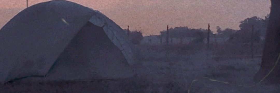 DeniseGallo4's profile banner image