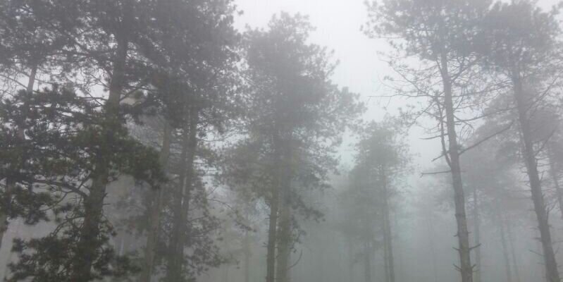 fnd_unal's profile banner image