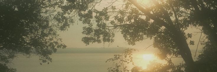 บีบี banner