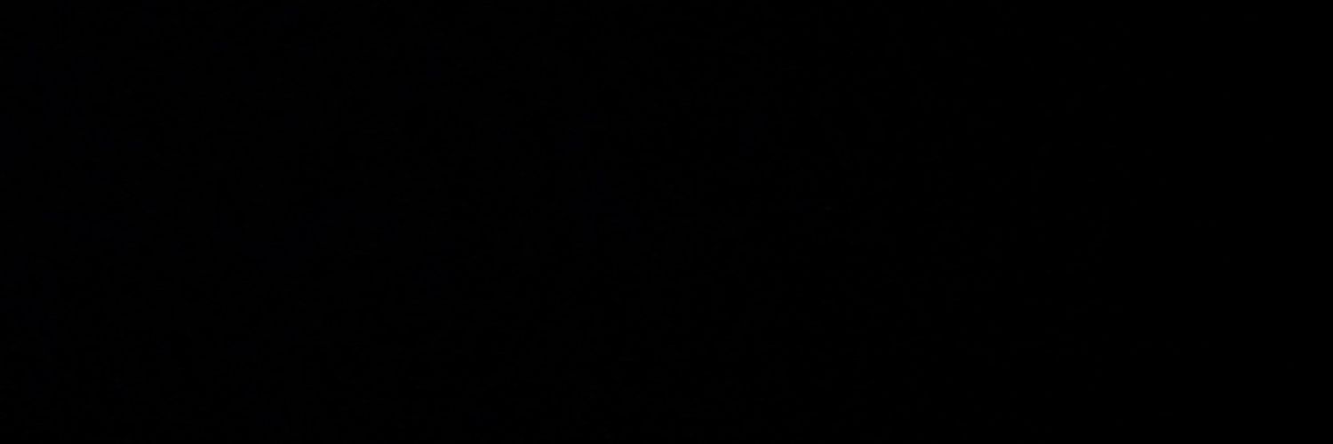 pedro banner
