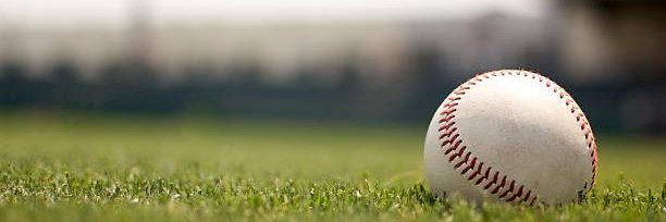 South Brunswick HS Baseball banner