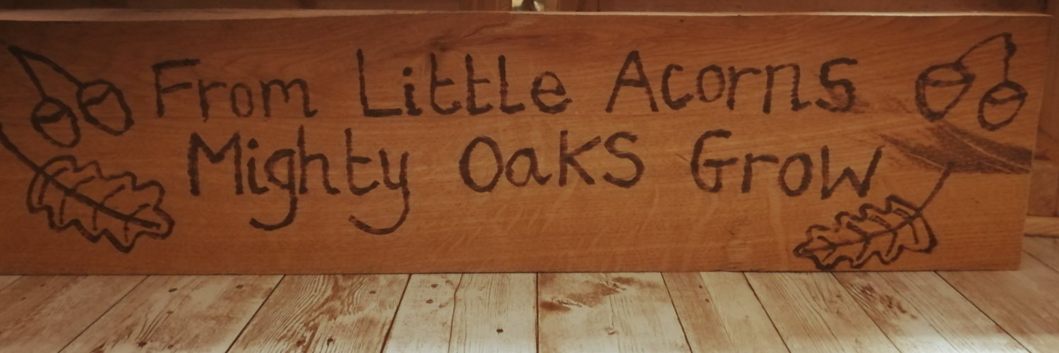 Meavy Primary School banner