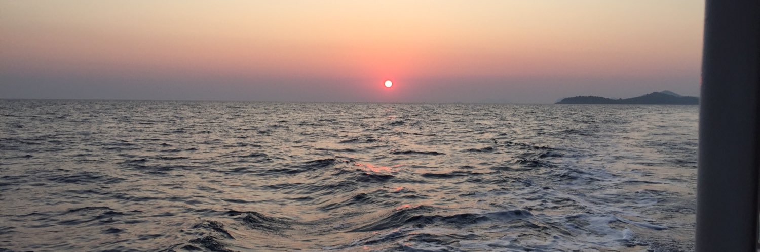 The Flailing Dutchman banner