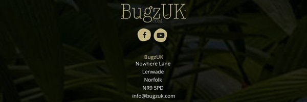 TheBugParc Profile Banner