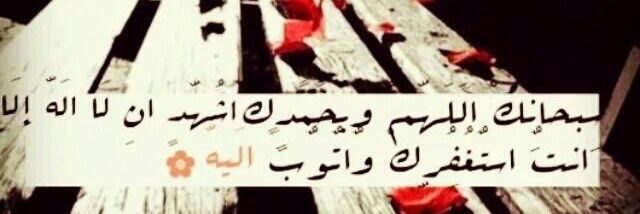533558's profile banner image