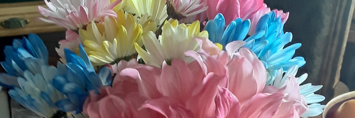 Deborah Aarnes banner