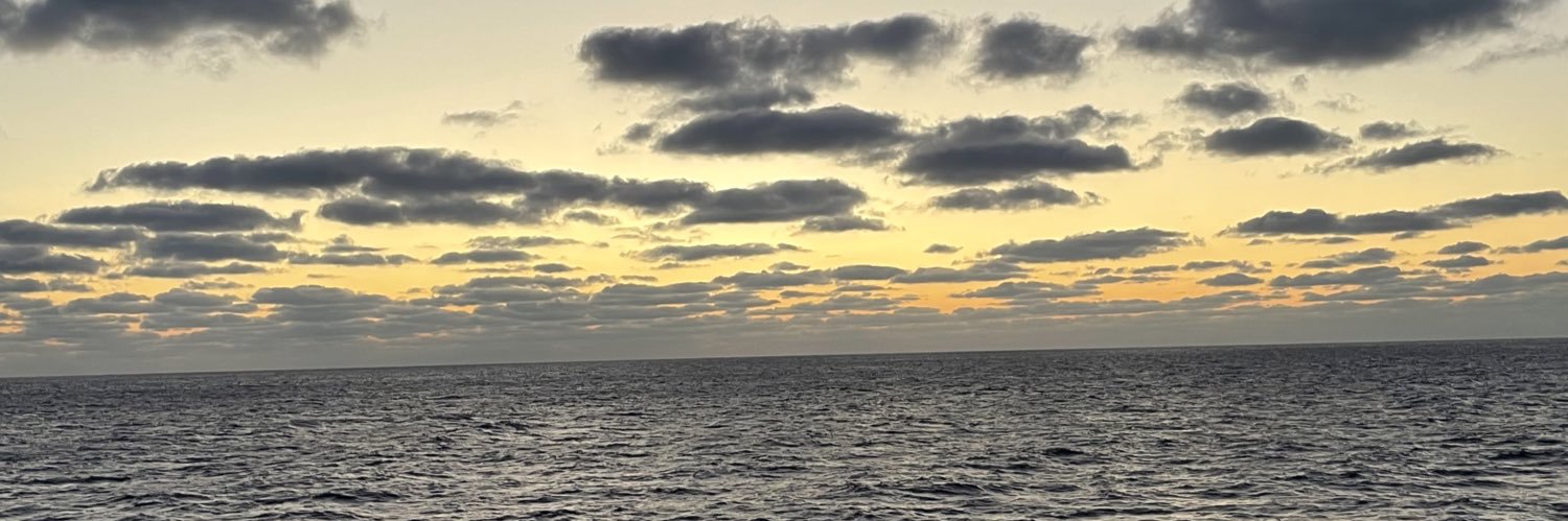 RONNIPLZZ's profile banner image