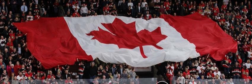 Serge banner