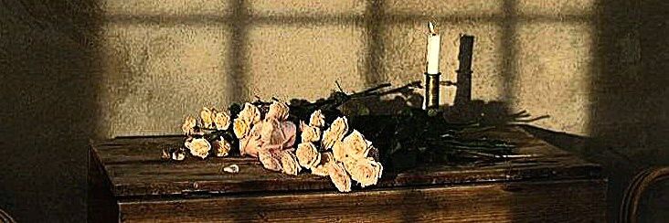 ℝ𝕖𝕖𝕞☆ banner