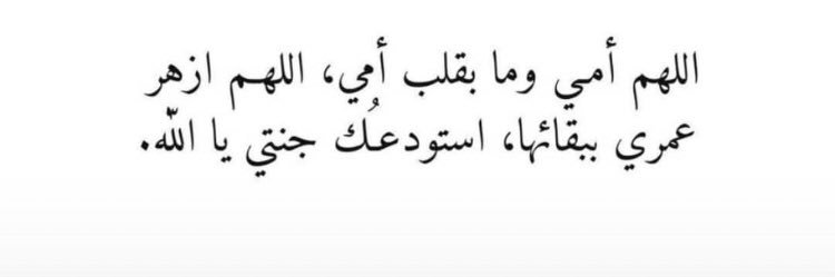 بيضة الإسلام banner