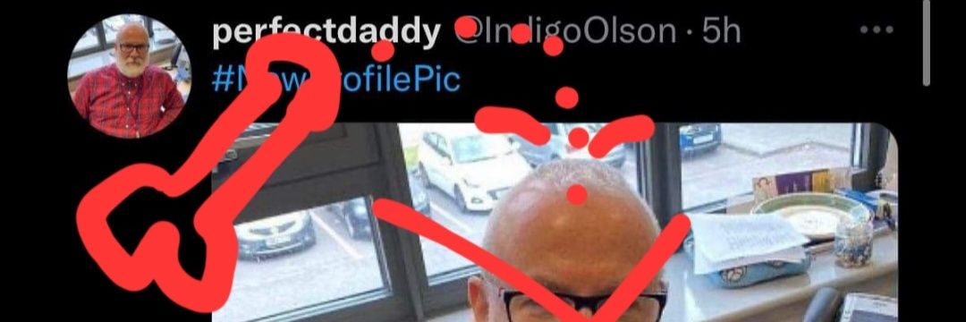 OlsonIndigo's profile banner image