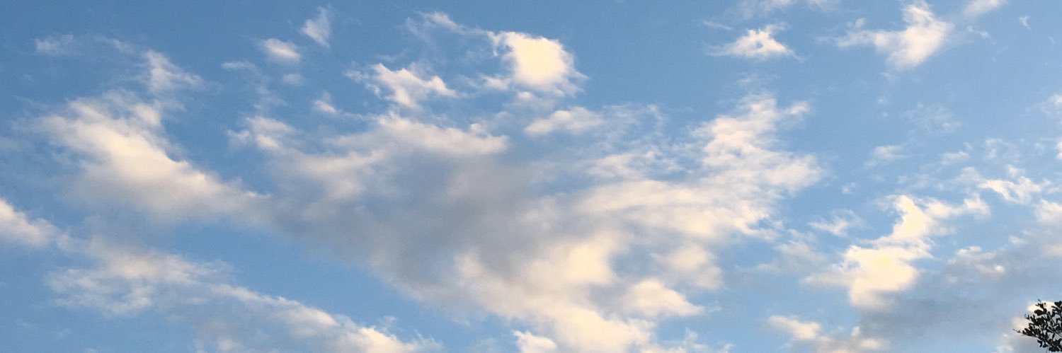 Ranmo0223's profile banner image