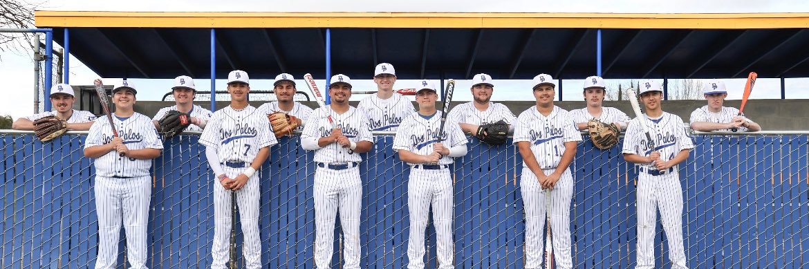 Dos Palos Baseball banner