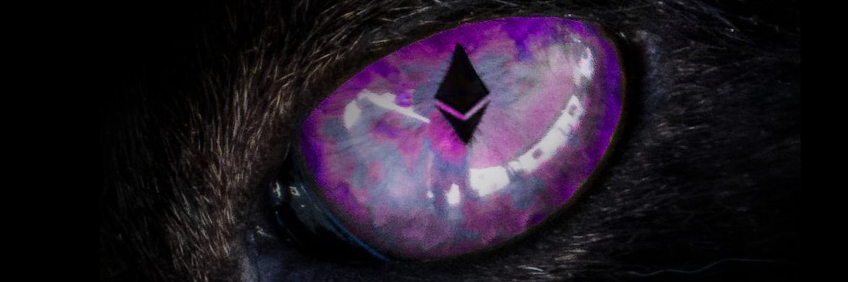 0xFuzzy banner