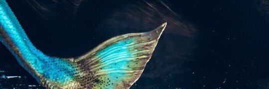 Joshuu3's profile banner image