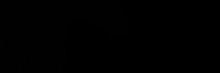SEB4STI3NFK's profile banner image