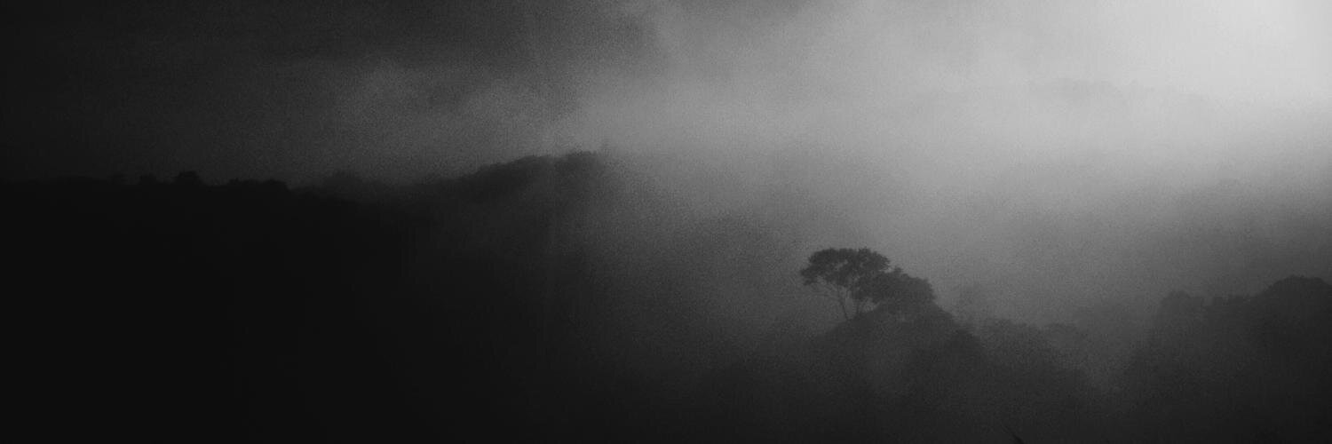 Ricardo Motti banner