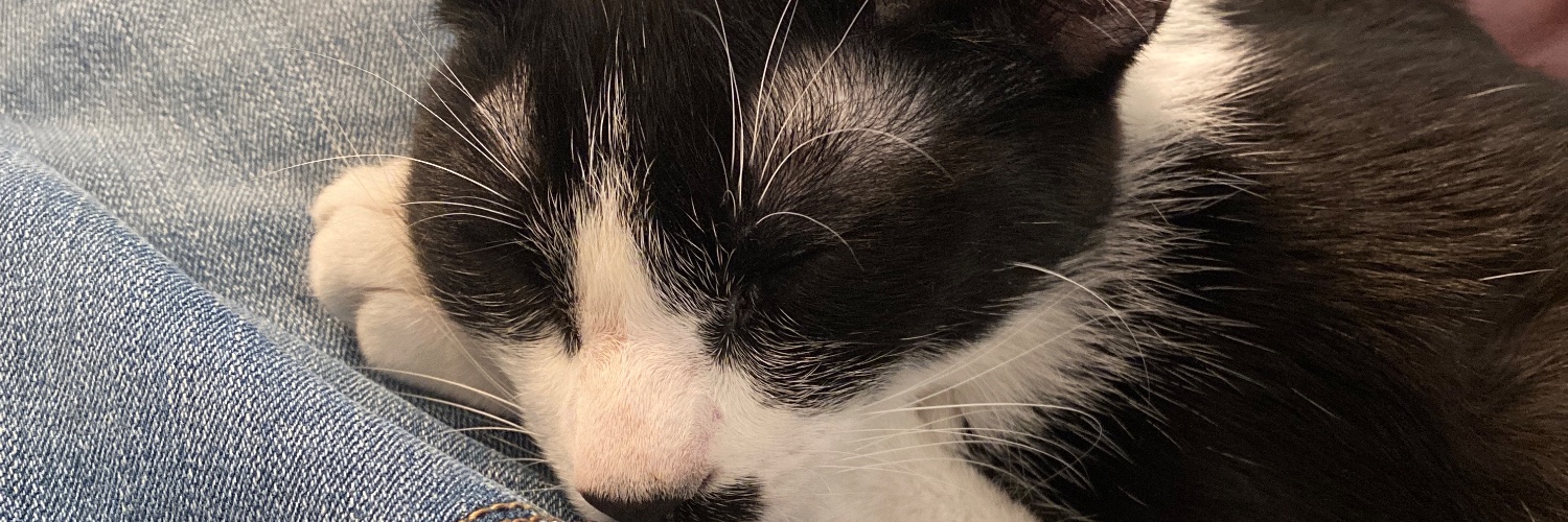 KJSykes2's profile banner image