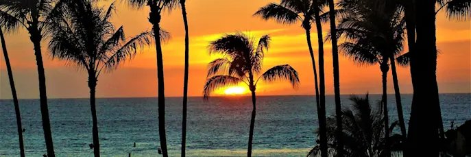HAWAII's banner