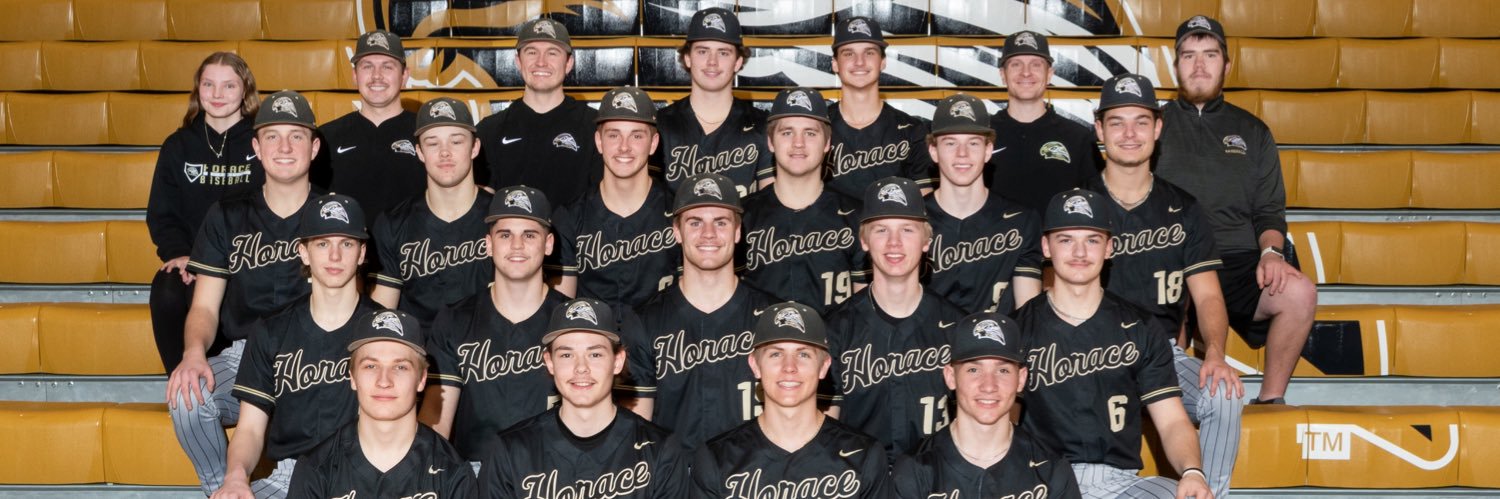 Horace Hawks Baseball banner