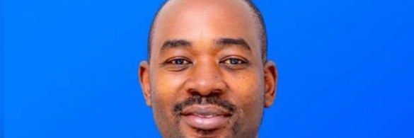 Chamisa UK & Ireland banner