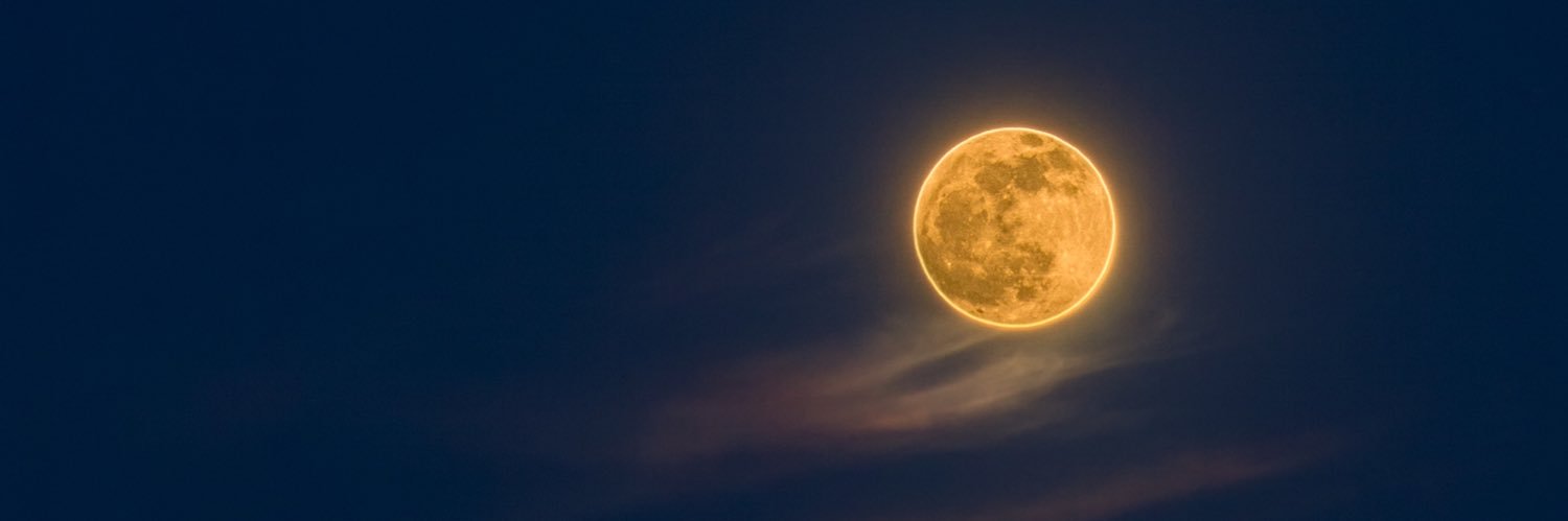 Njaamm's profile banner image