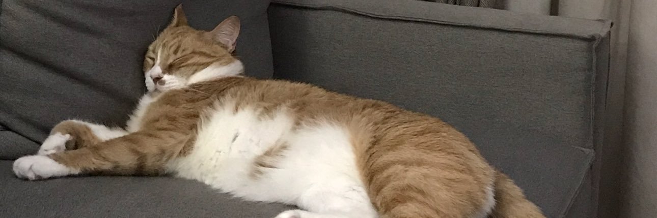 Φένια Φανακίδη banner