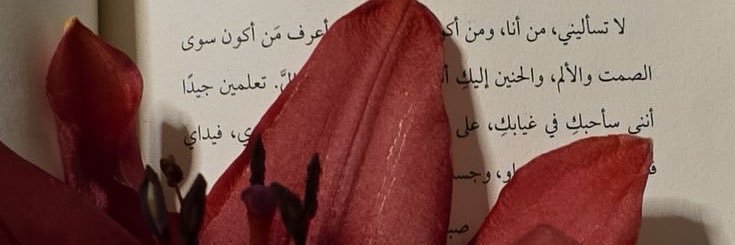 lei_laaaa24's profile banner image