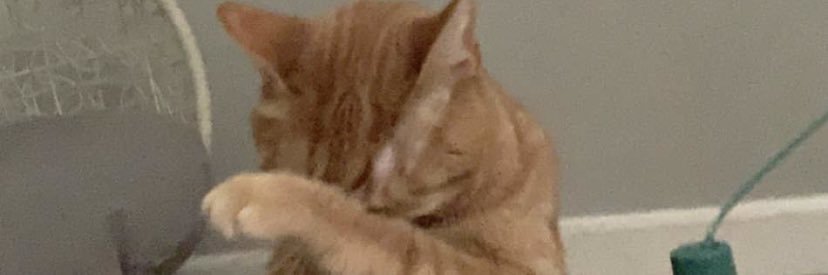 marybethhhb's profile banner image