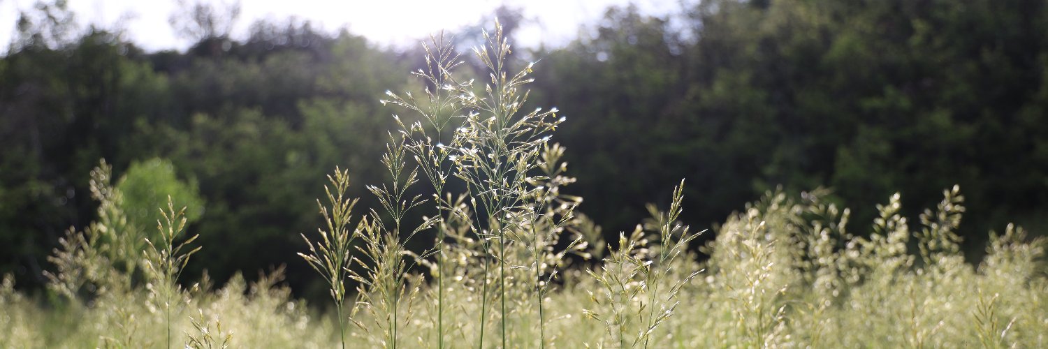 Velvet Prison Warden banner