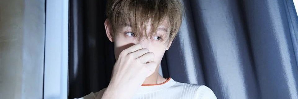 zara banner