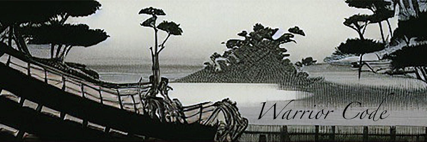 Warrior Code🪬 | Flapjack55 MINTING NOW 40% MINTED banner