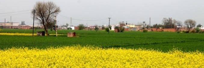 Ahmad Warraich's banner