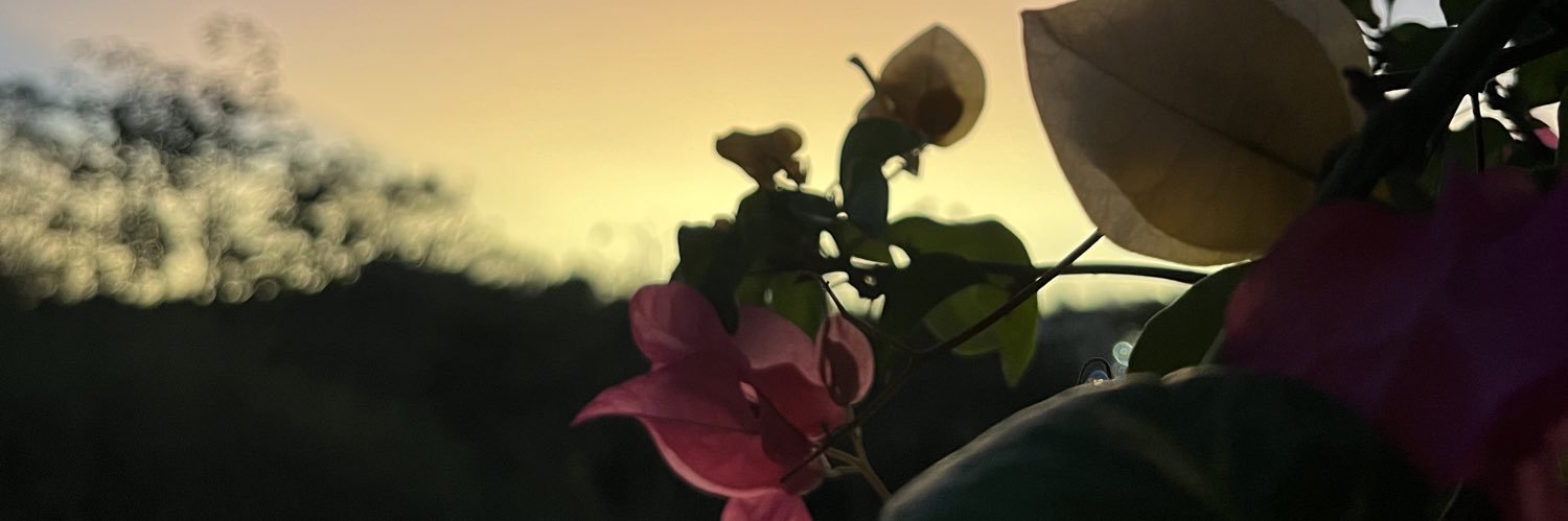 Chinin14's profile banner image