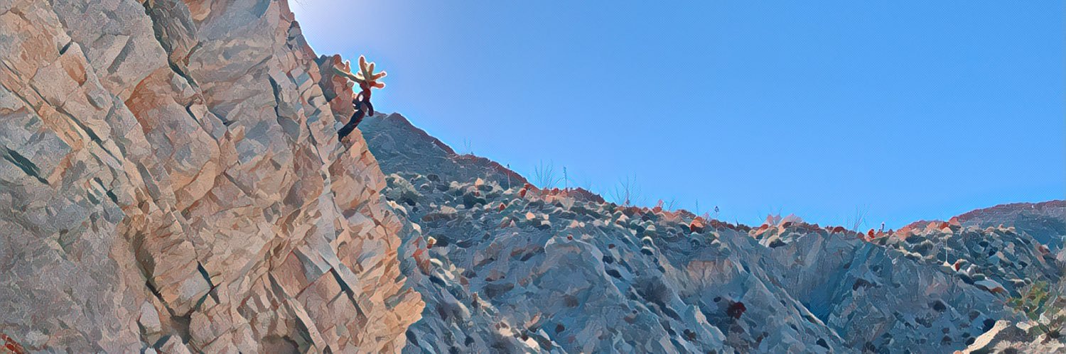 TheRoamDepot's profile banner image