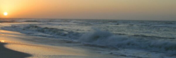 kimmieholcomb Profile Banner