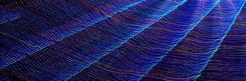 JonPeddieResearch's banner