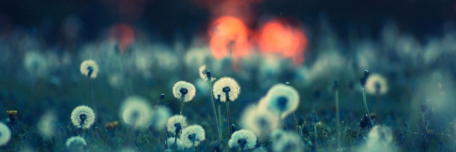 Dmitriy Rumyantsev banner