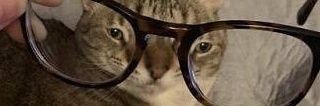 elithebookworm's profile banner image