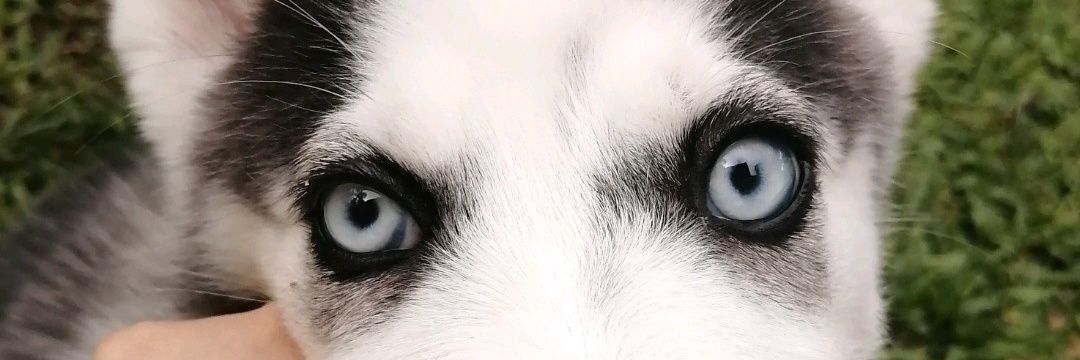 Yary0102's profile banner image