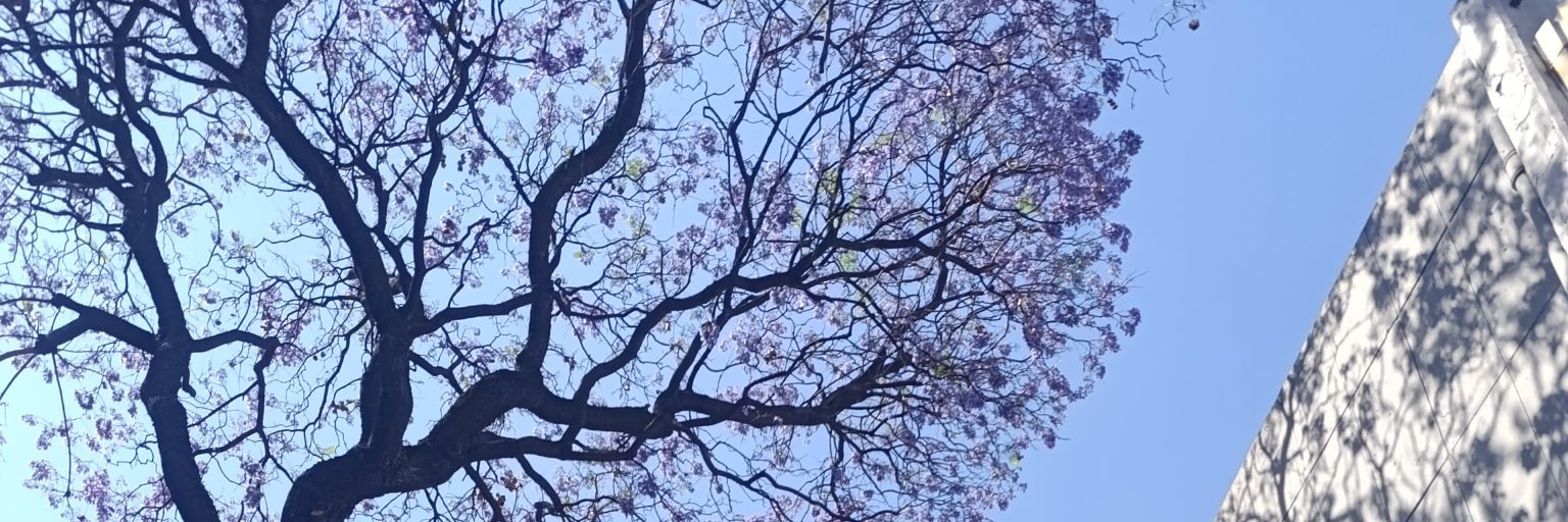 Jesmonts's profile banner image