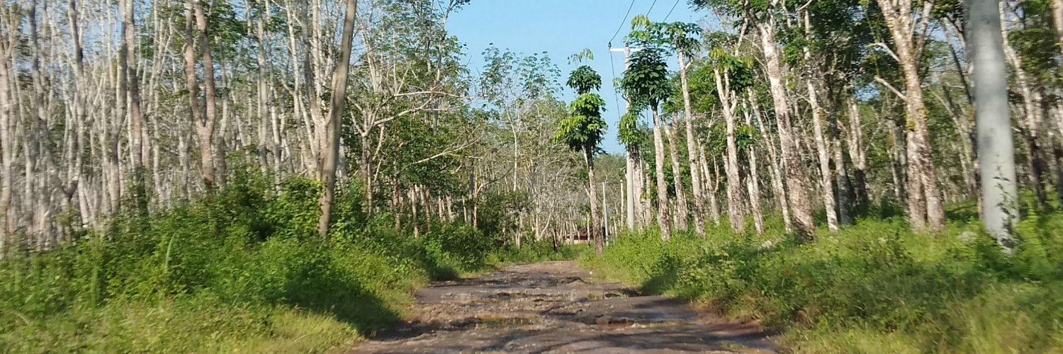 cikadutv_'s profile banner image