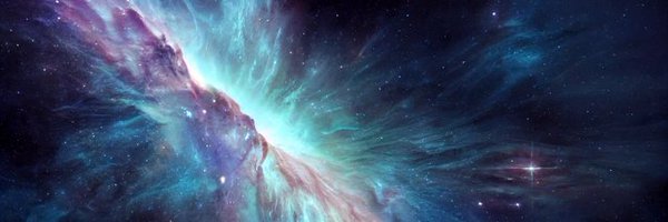 shivashousefly Profile Banner