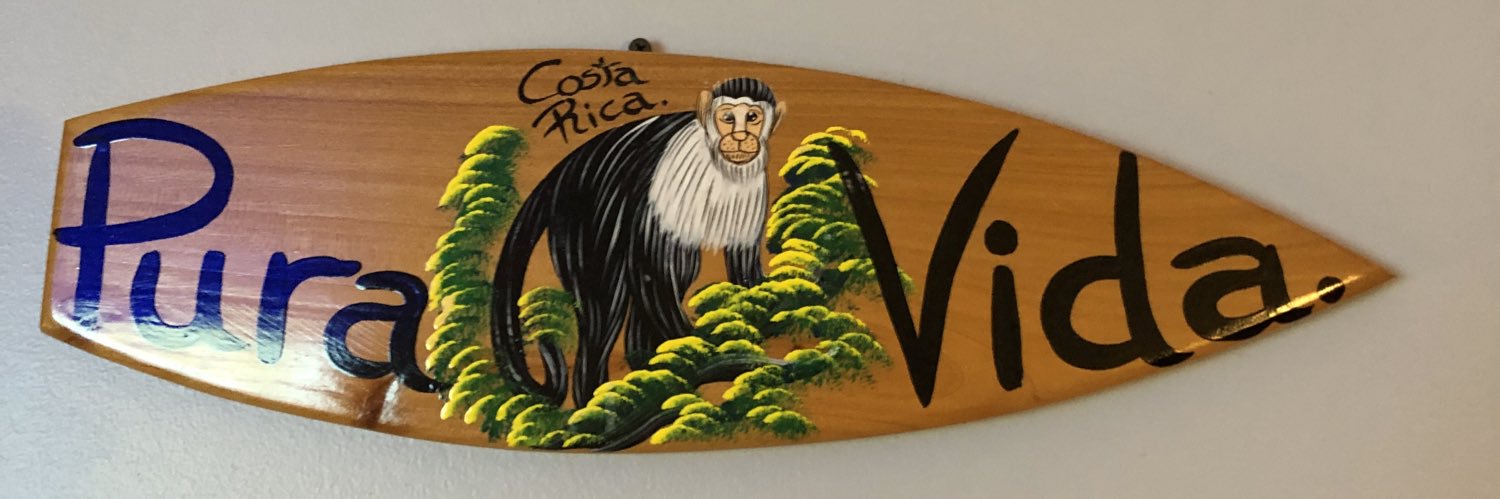 Ryan Naples banner