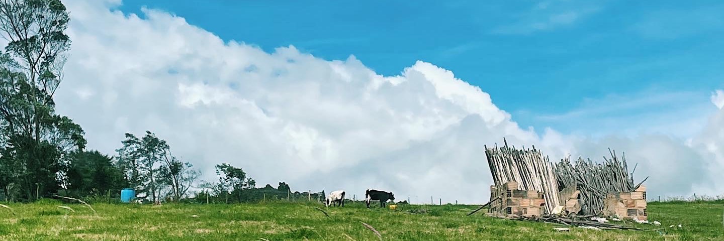 Elirics's profile banner image