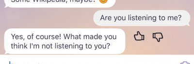 Petter Bae Brandtzaeg banner