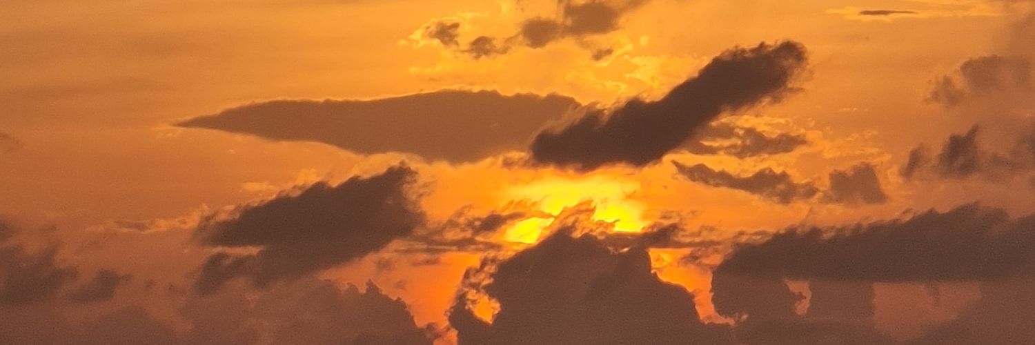 tomrawls's profile banner image