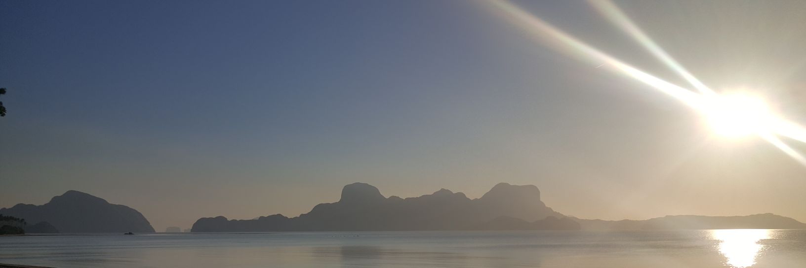 L. banner