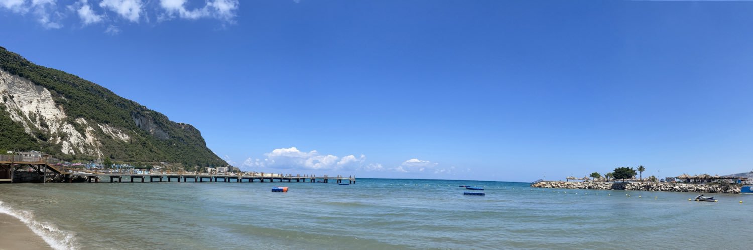 Ghassan kamel MD FCCP banner