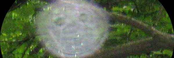 daniel_gugger Profile Banner